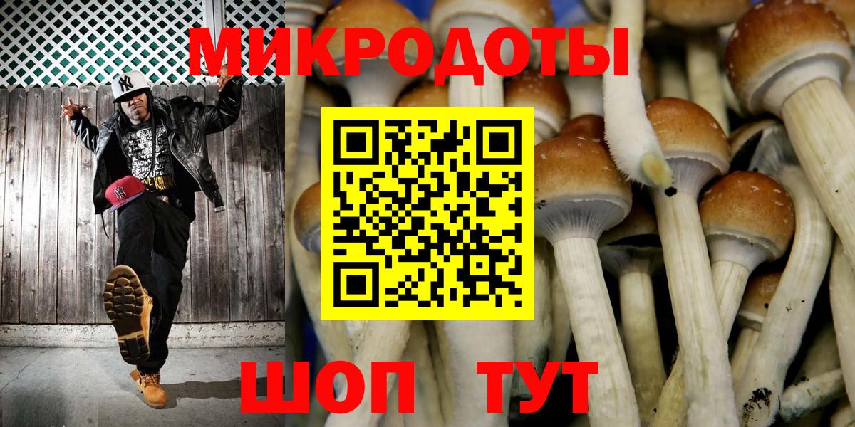 Галлюциногенные грибы GOLDEN TEACHER Новозыбков
