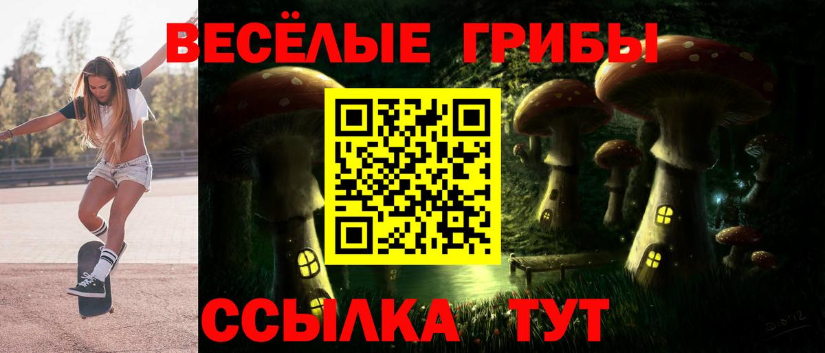 Псилоцибиновые грибы прущие грибы  Вход с VPN  купить закладку  Новозыбков 